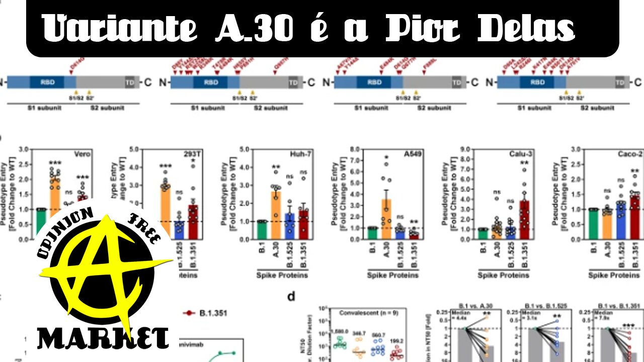 Variante A.30 consegue contornar anticorpos de vacinas