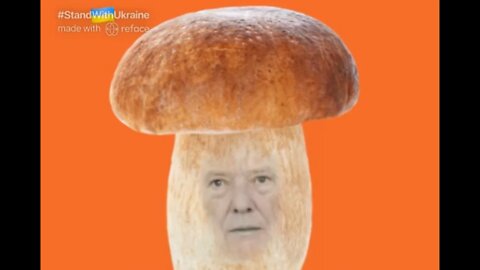 The Ultimate Donald Trump Mushroom Meme! 🍄