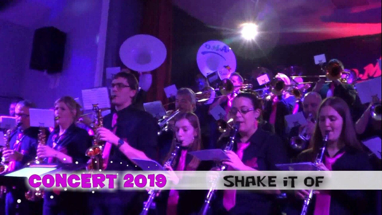 D.M.A. Band Shake it of