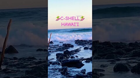 SUMMER SURF IS UP #aloha #surfers #surfing #Kaua’iSouthSide