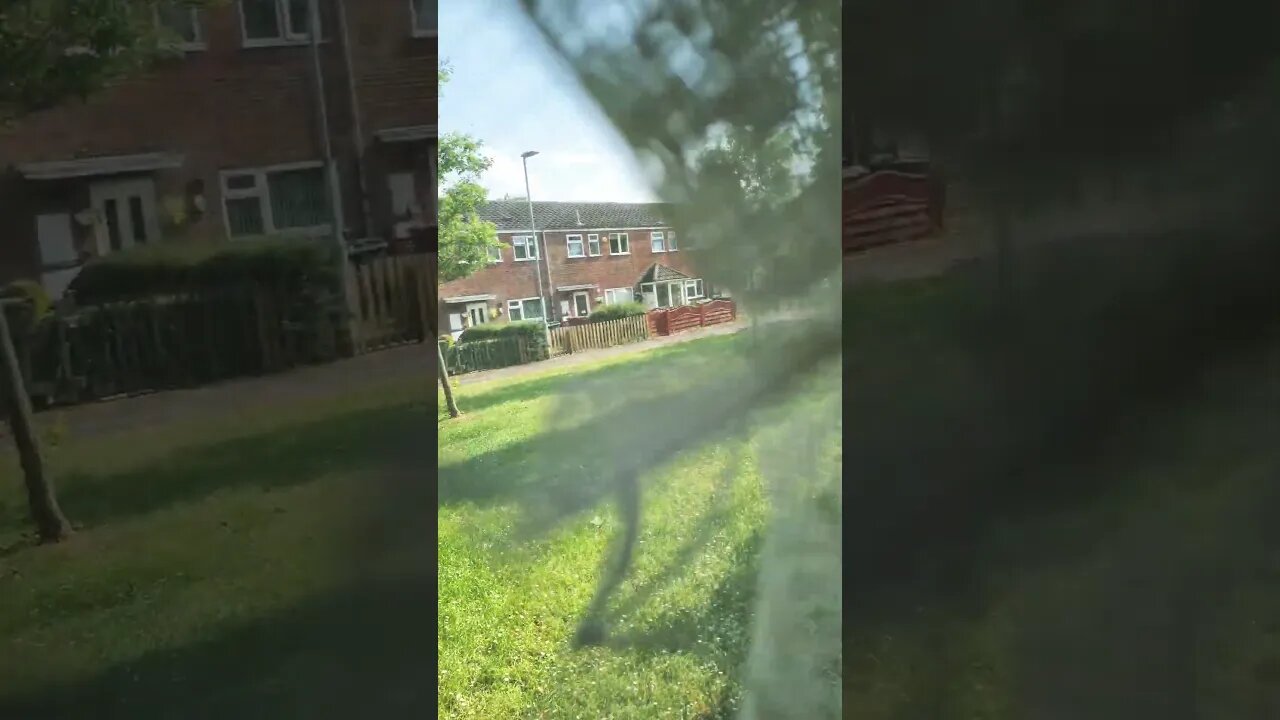 afternoon view of my living room with bird 🐦 life enjoy the video and like and subscribe 😉