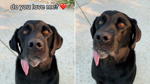 Do you love me?