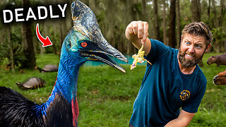 Private Tour Of Florida's Craziest Backyard Zoo