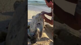 O QUE FOI ENCONTRADO NA PRAIA?