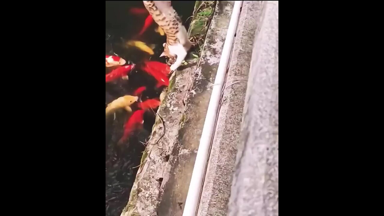 😂😂😂😂