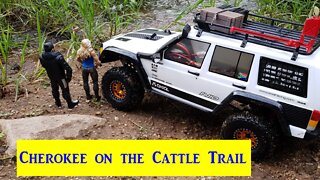 Cherokee on a Cattle Trail