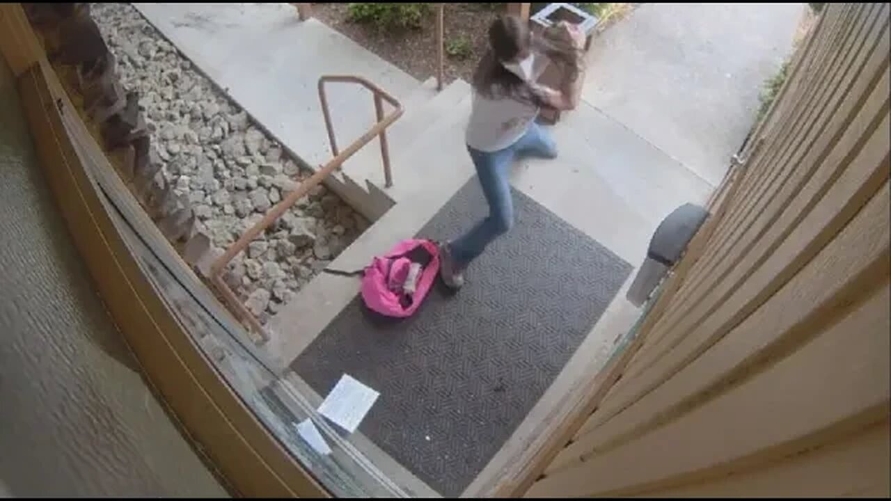 Footage of Attacks on Pro-Life Groups #christianity #abortion #humanrights