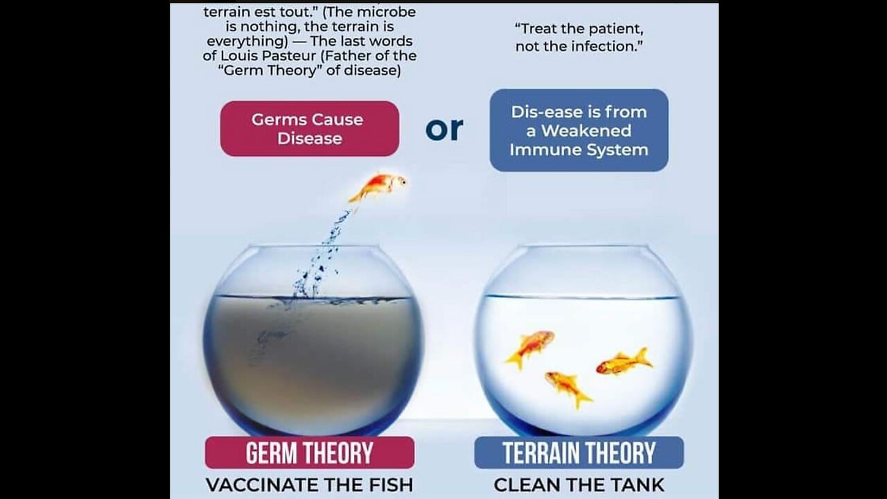 What virus? Where is the proof? Virology debunked