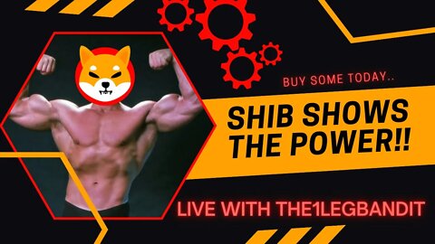 SHIB flexes it's Muscle during this turmoil Live