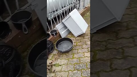 #shorts #pfanne #frühjahrsputz