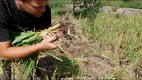 Understanding THIS Super Food Helps You Store It For Over 9 Months