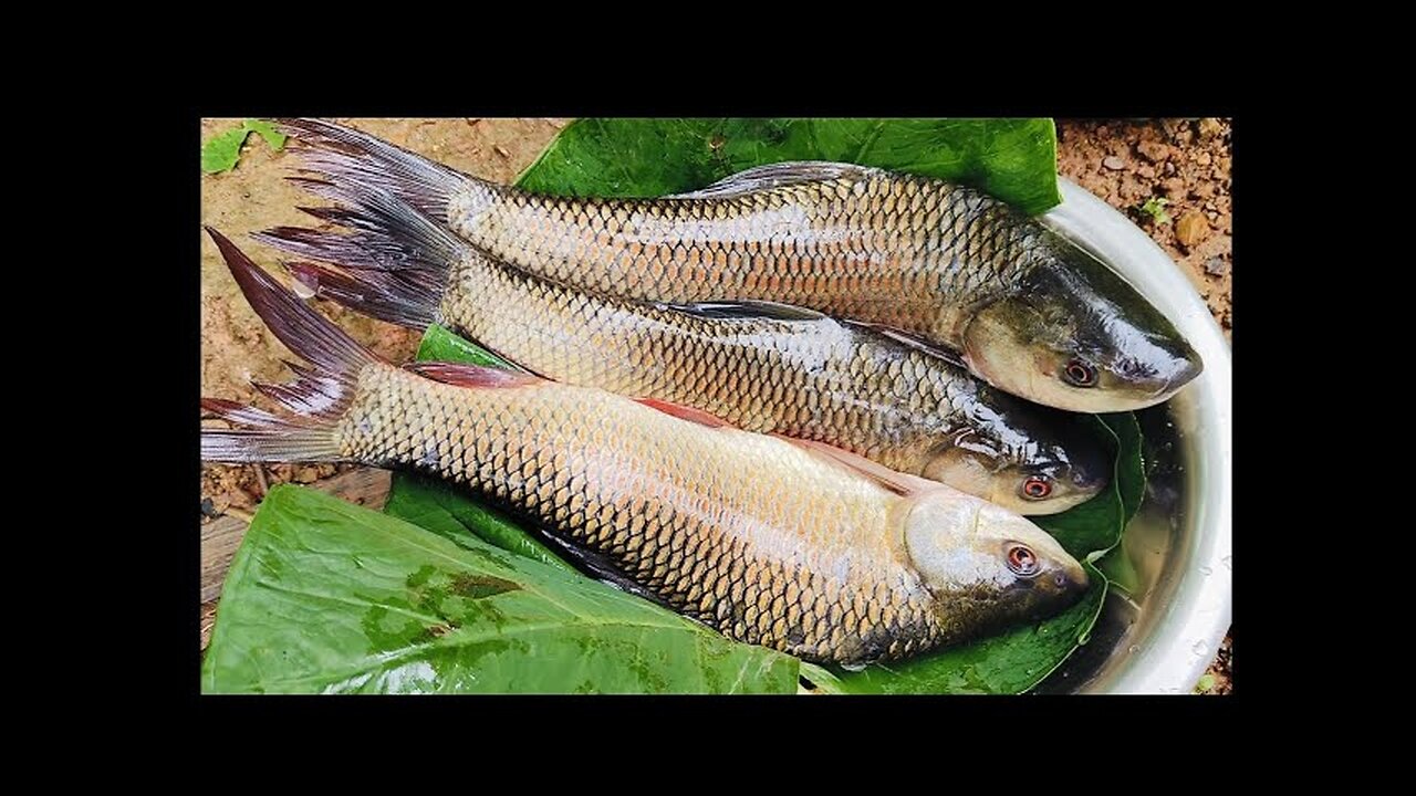 ಹಳ್ಳಿ ಮನೆ, ಮೀನಿನ ಫ್ರೈ, ಮೀನಿನ ಸಾರು Village Fish Fry, Minu Motte Dry