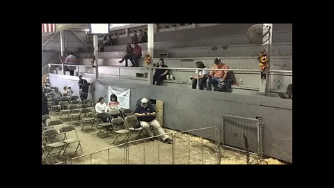 2021 Preston County Livestock Association Sale