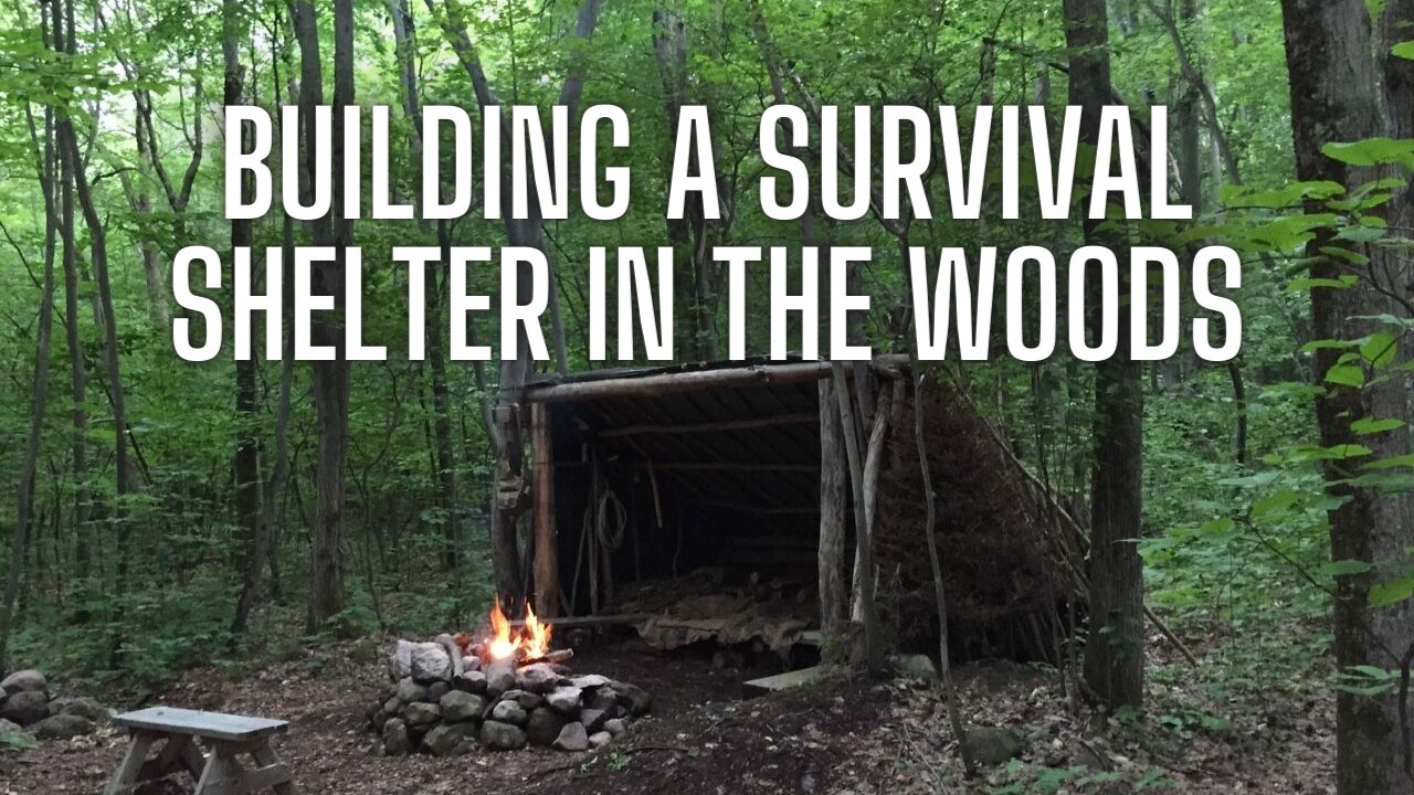 Building a Survival Shelter in the Woods - Survival Best Practices