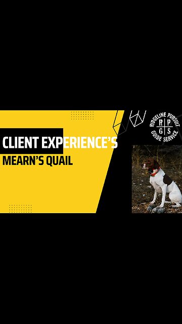 Ridgeline Pursuit Guide Service - Arizona Mearn's Quail Flush - Client Experience.