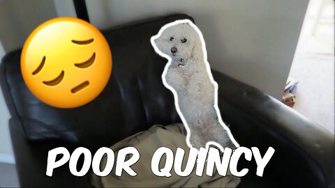 POOR QUINCY :(