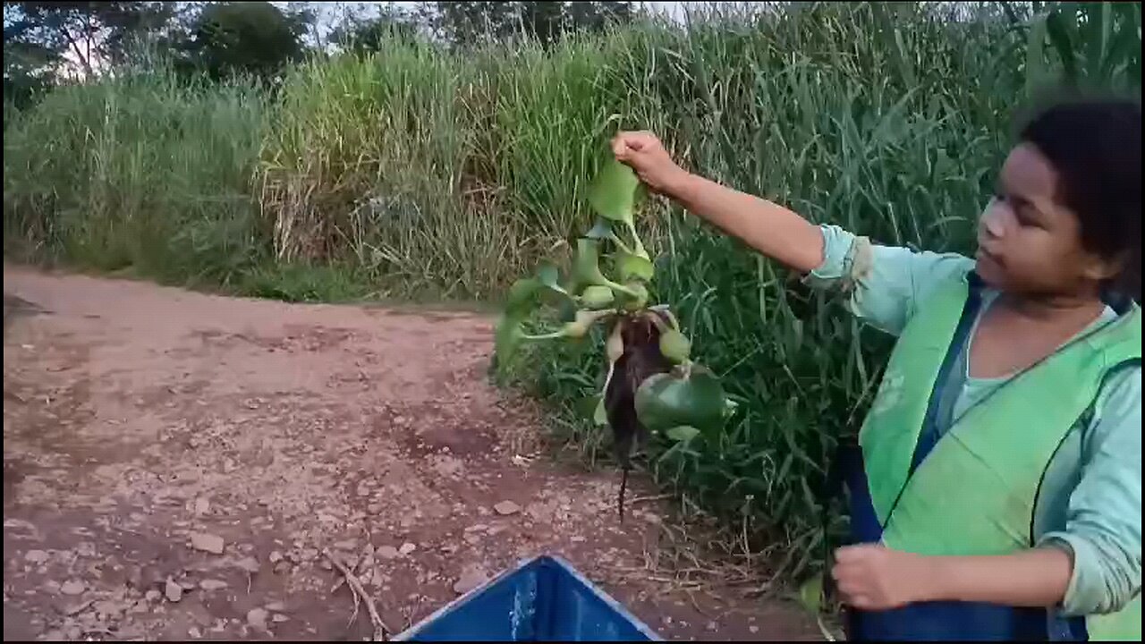 final do dia de pesca