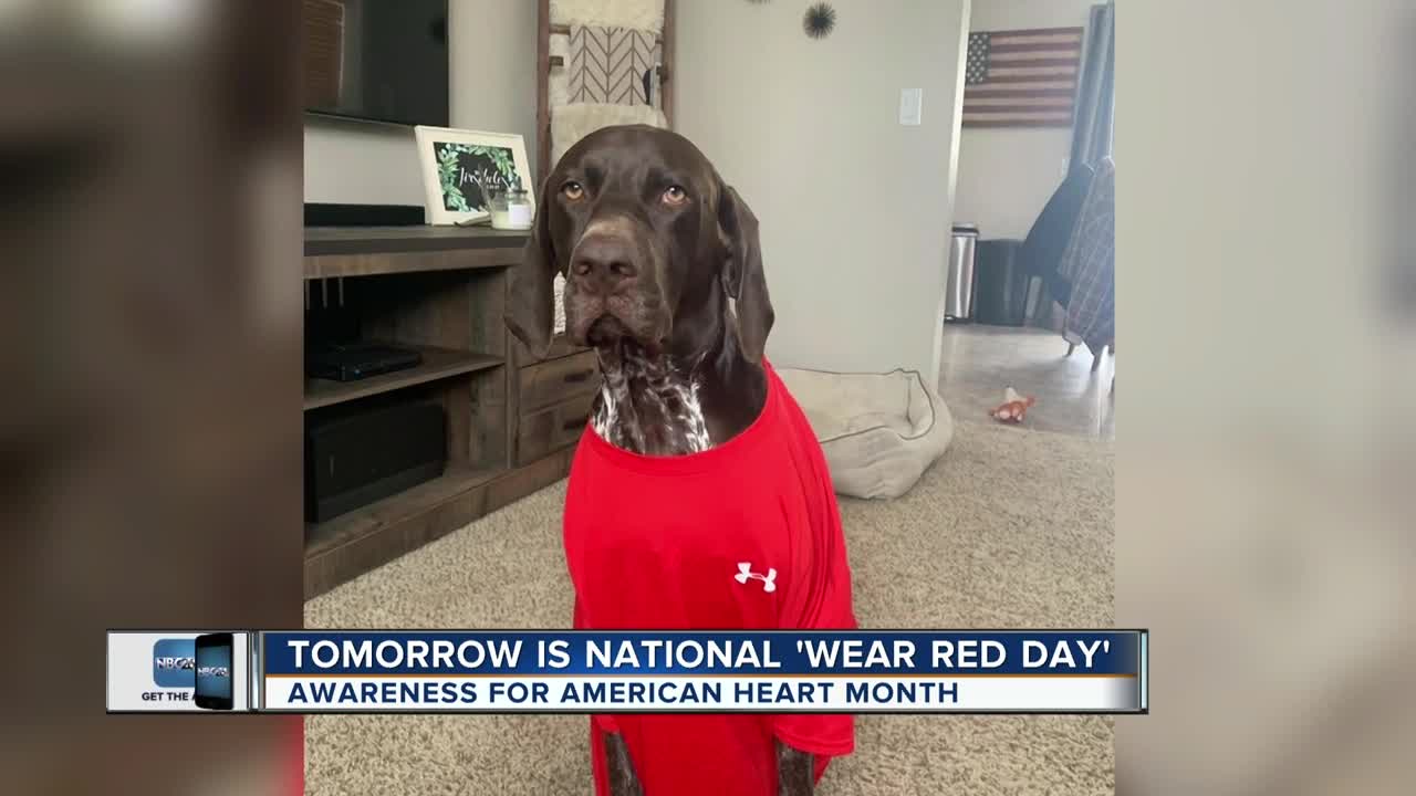 National Wear Red Day