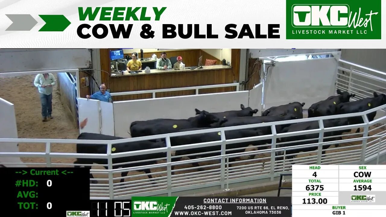 7/10/2023 - OKC West Weekly Cow & Bull Auction