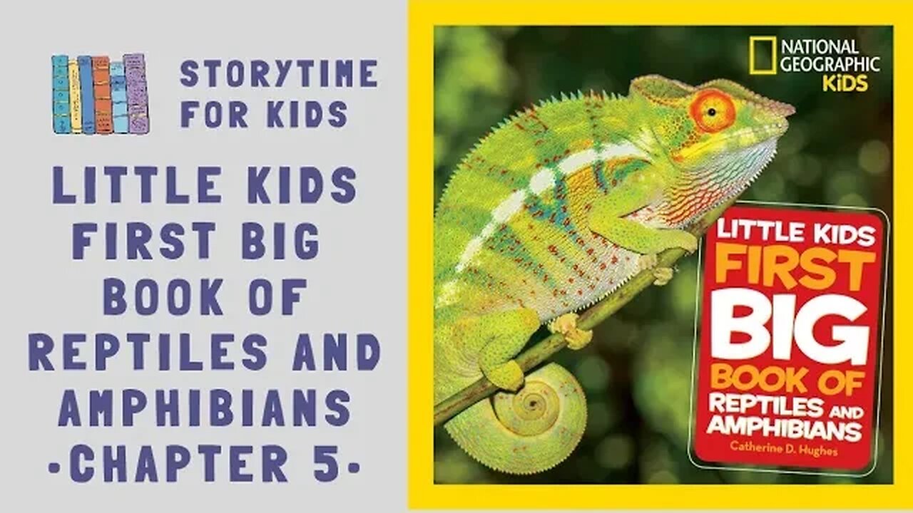 🐊 Chapter 5 🦎 Little Kids First Big Book of Reptiles 🐢 and Amphibians 🐸 @storytimeforkids123