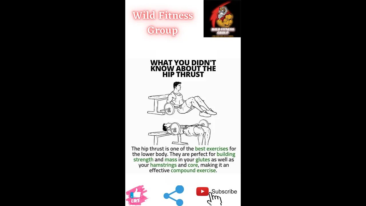 🔥What you didn't know about the hip thrust🔥#fitness🔥#wildfitnessgroup🔥#shorts🔥