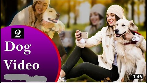 People love dog