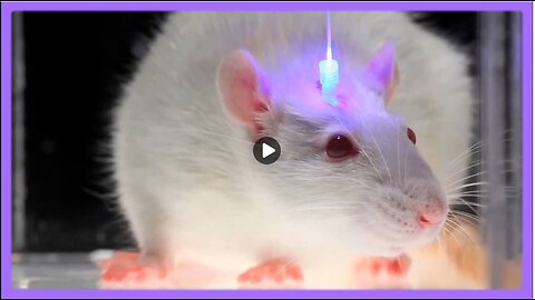 Optogenetics and the Secret Worldwide Nanotech Experiment