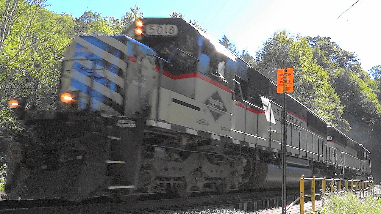 Reading & Northen "Fast Freight" SD50-2's in the Tamaqua Tunnel