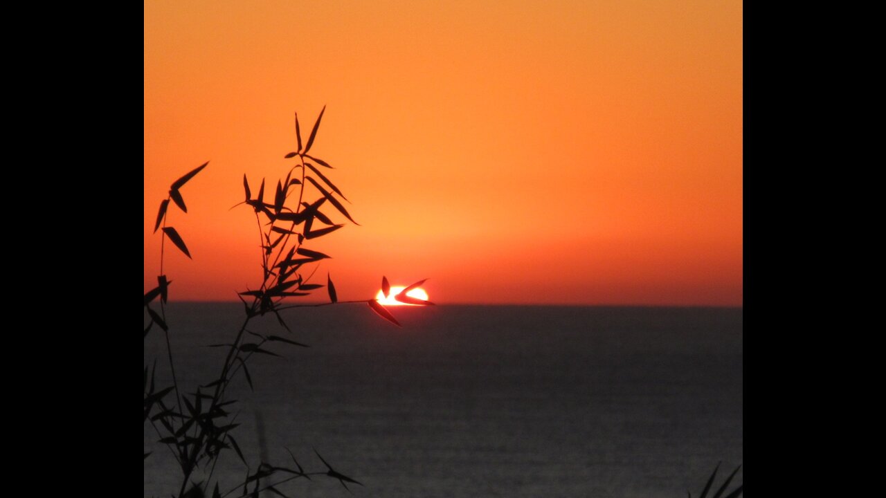 Southern Sunrise KZN