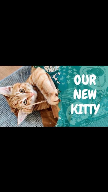 Awwww so sweet cat 😘😘