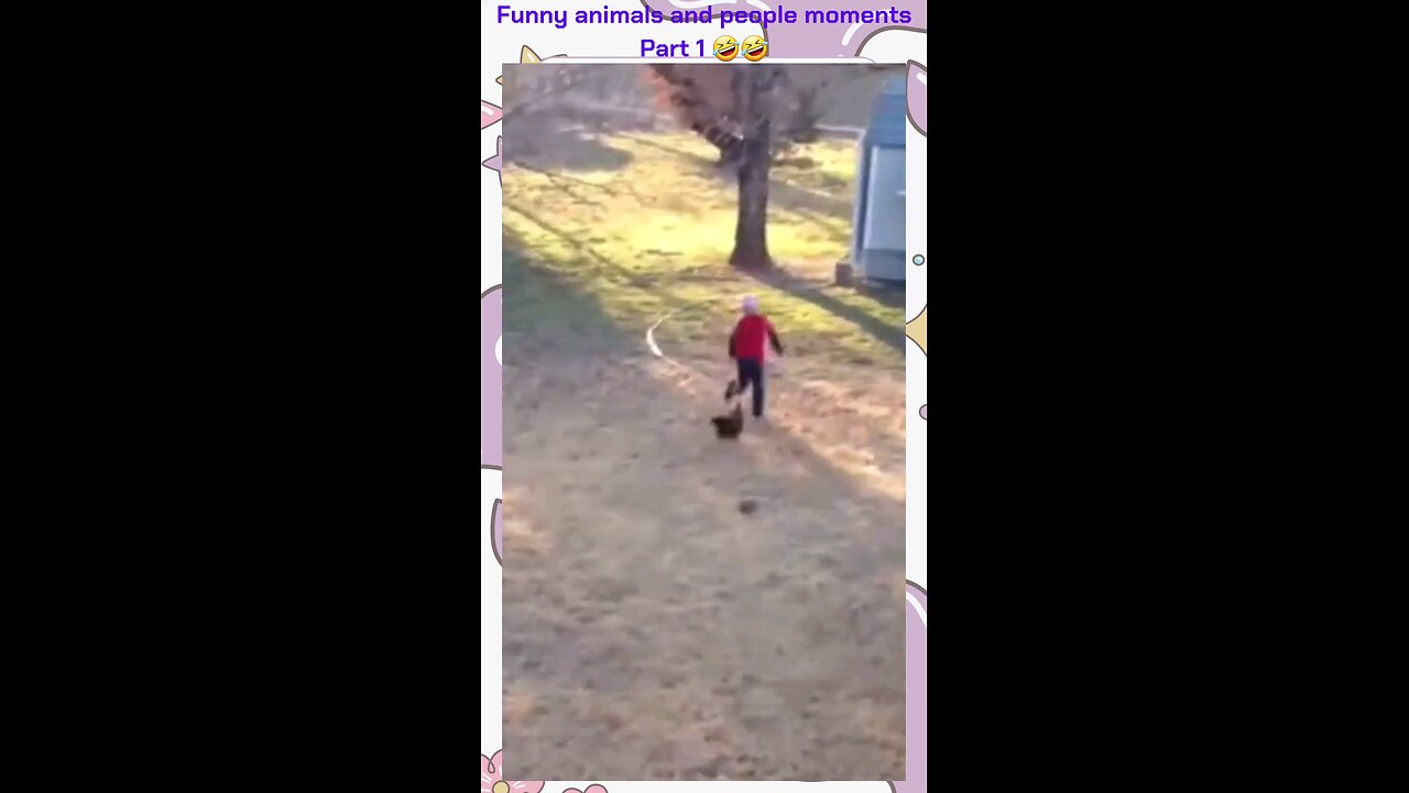 Funny animals and people moments(Part 1)
