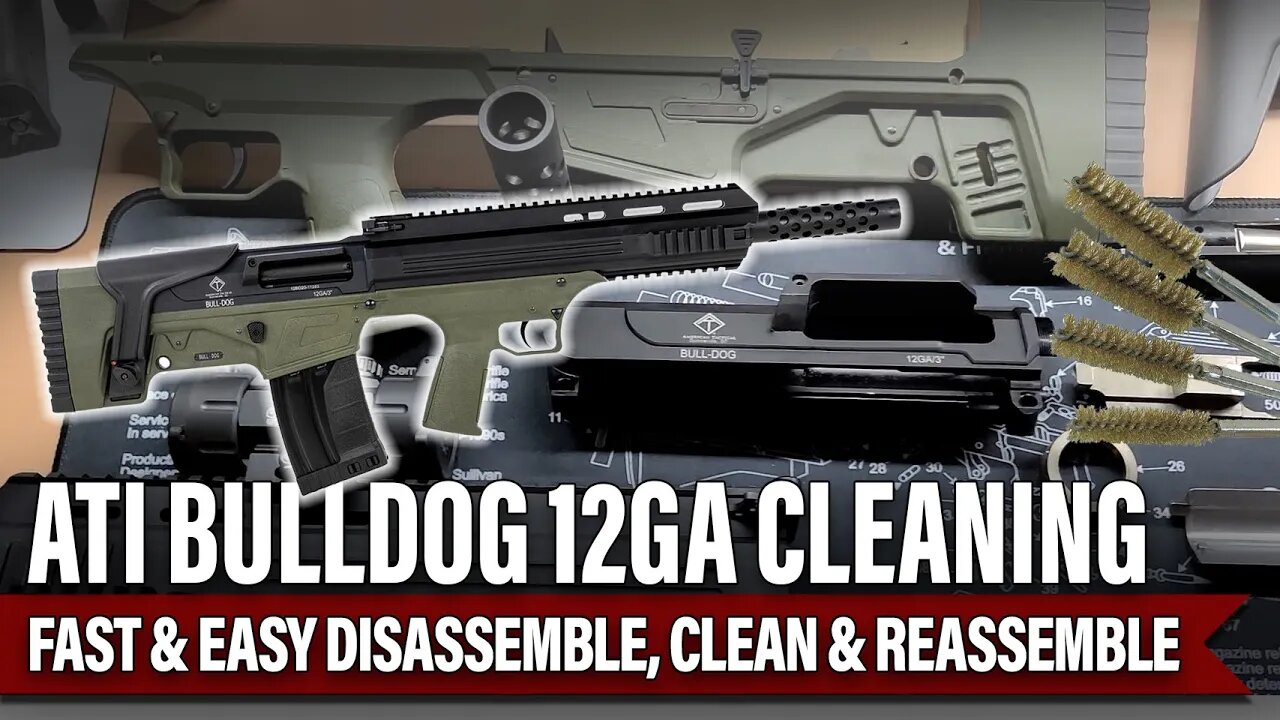 Teardown & Cleaning the ATI Bulldog 12GA Shotgun