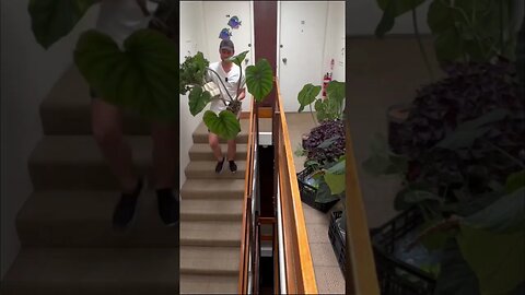 Leg day but make it planty!!