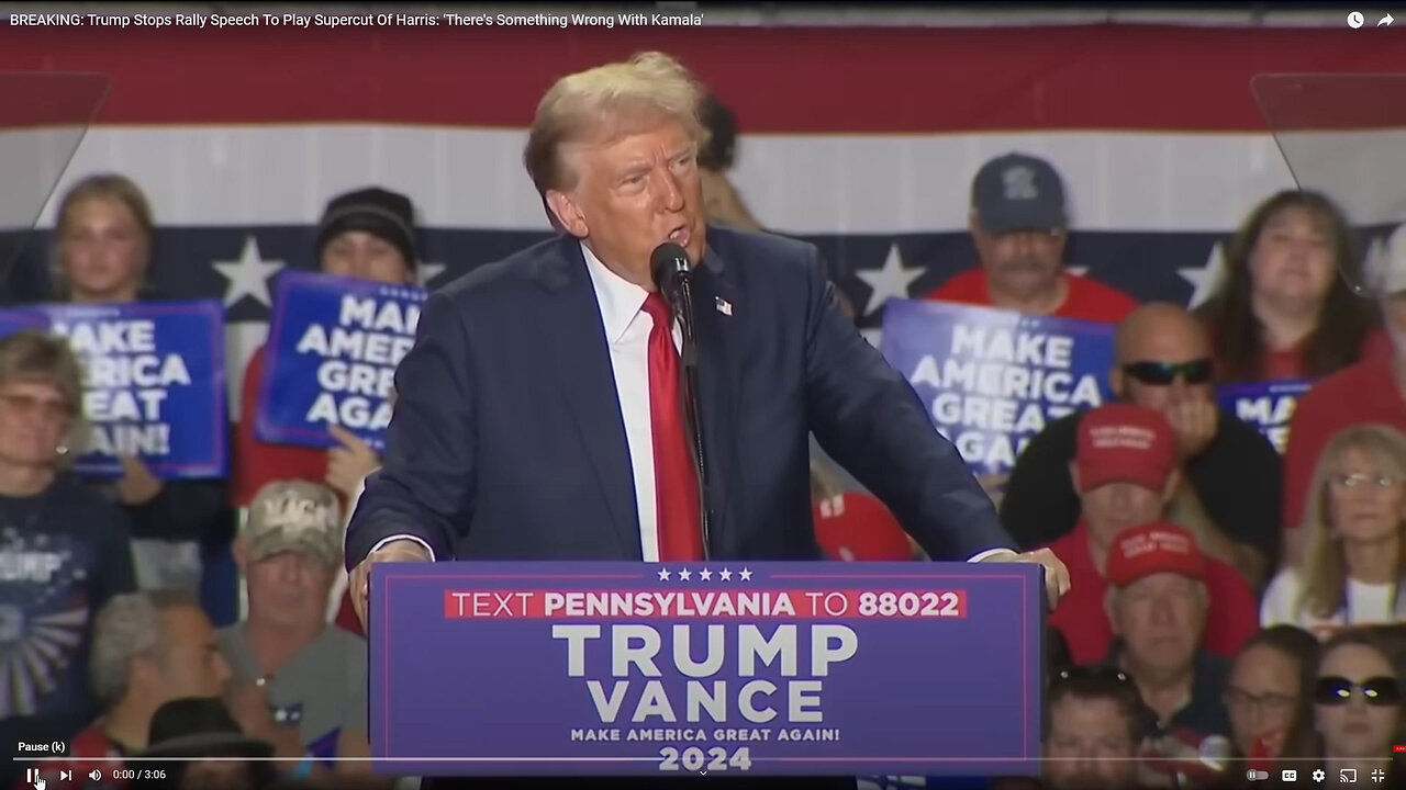 Former President Donald Trump speaks at a campaign rally