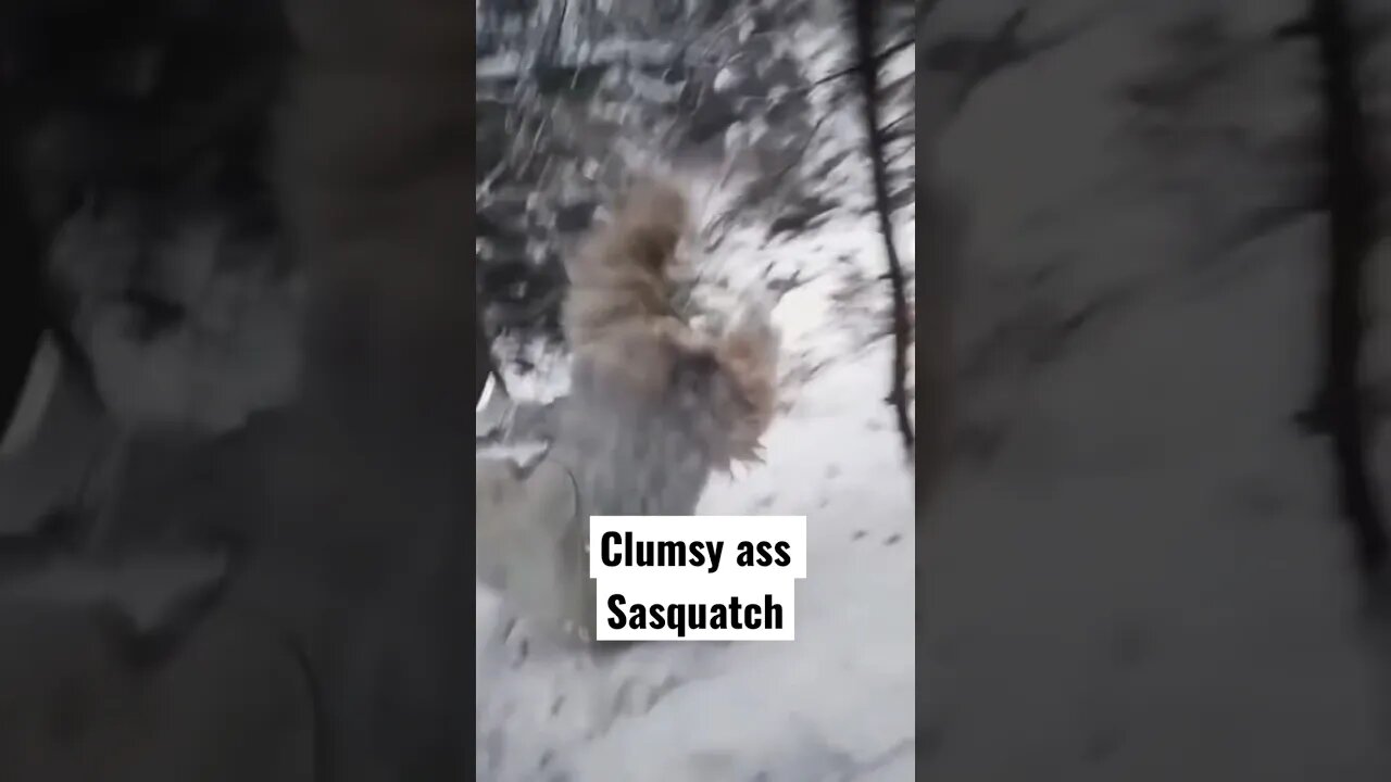 Clumsy ass Sasquatch #creatures #woods #shortfeed