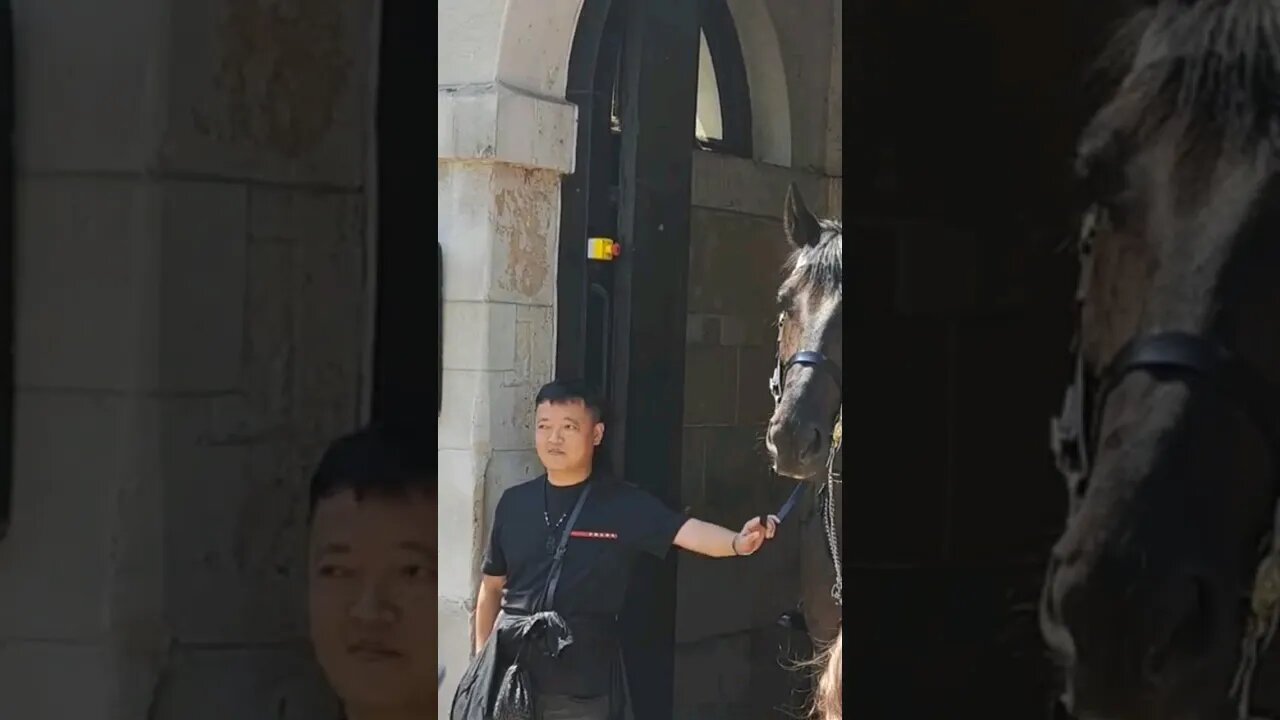 Grab and pull the reins #horseguardsparade