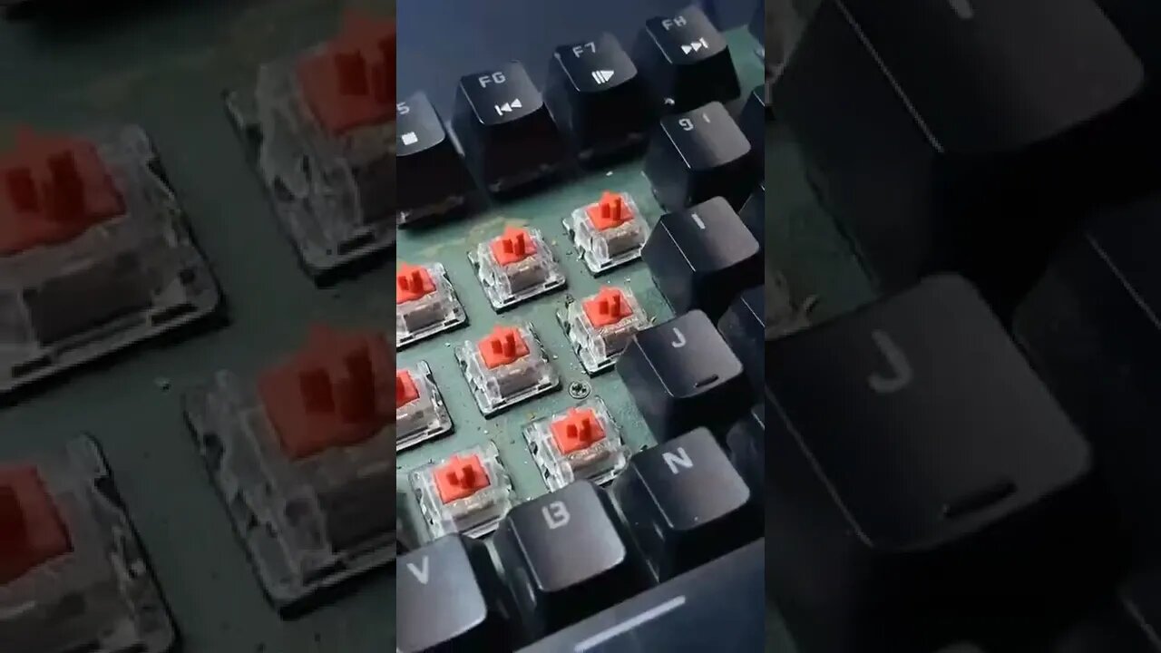 Most Popular and Trending videos(5)