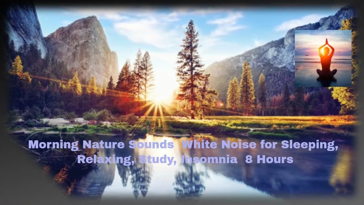 Morning Nature Sounds White Noise for Sleeping, Relaxing, Study, Insomnia 8 Hours