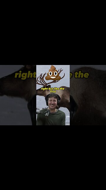 Eating Caribou Stomach Contents for Survival in Alaska - Glenn Villeneuve and Joe Rogan #nature