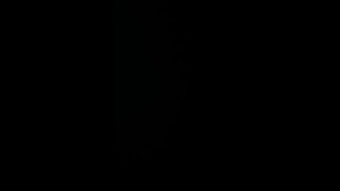 How to pronounce staycation