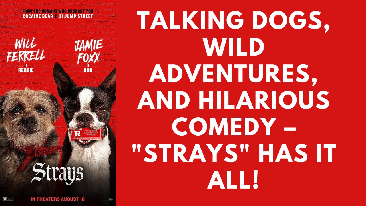 Barking Up a Storm: 'Strays' Movie Review - Hilarious Canine Comedy Unleashed! A Howling Good Time!