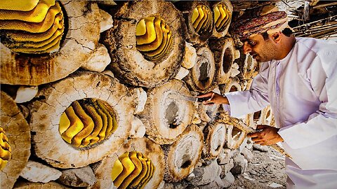 Raise Millions of Bees to Produce Royal Jelly 🐝 - Beekeeper Harvest and Process Royal Jelly