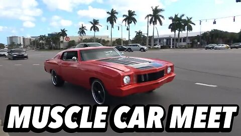 MUSCLE CARMEET ‼️‼️