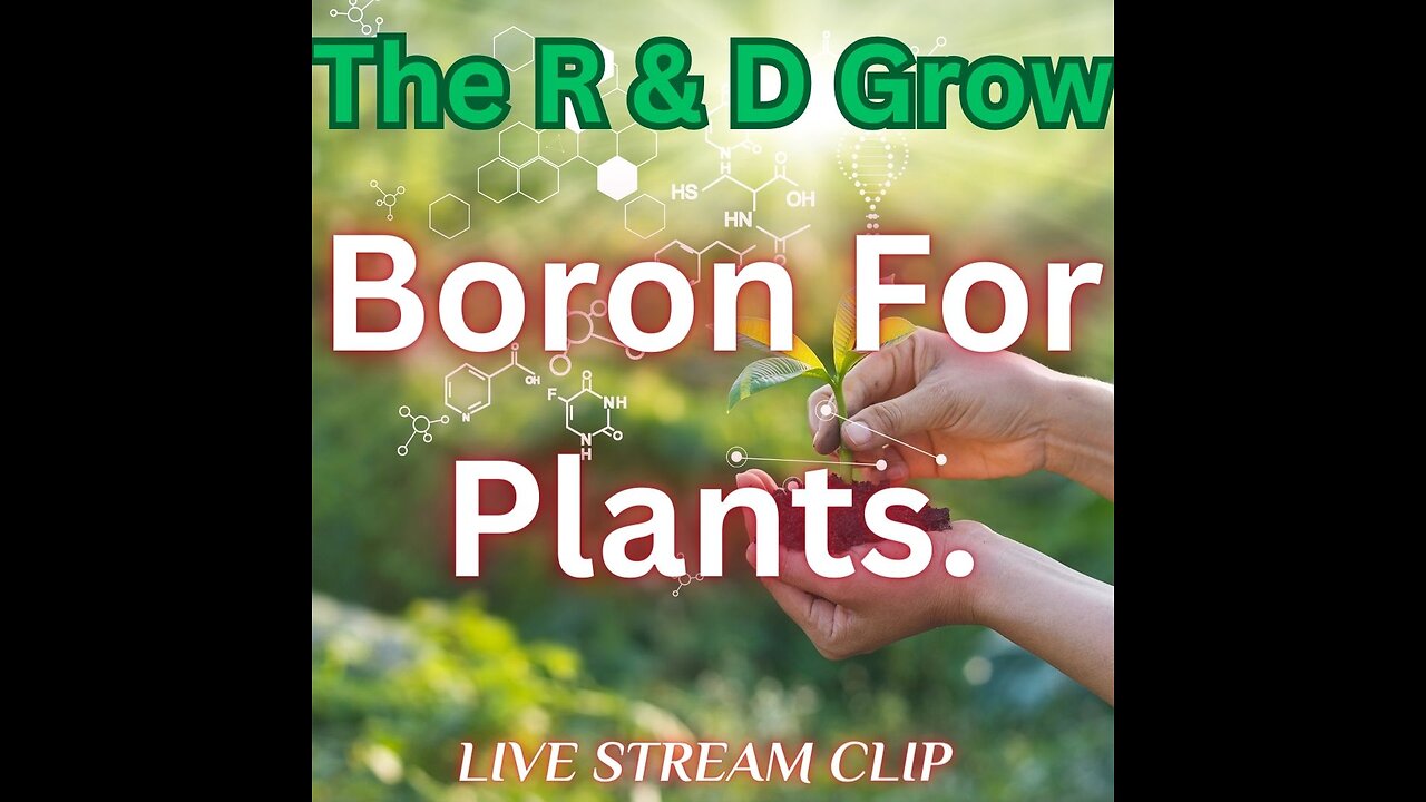 Boron For Plants.