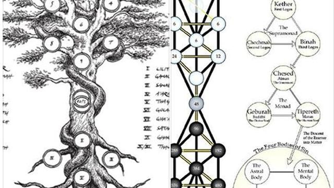 The Tree of ODIN/WOTAN (NAVUTAN)