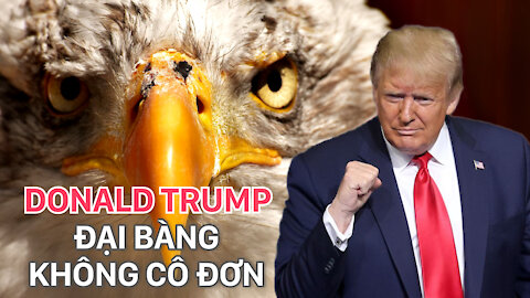 【DONALD TRUMP ĐẠI BÀNG KHÔNG CÔ ĐƠN 】