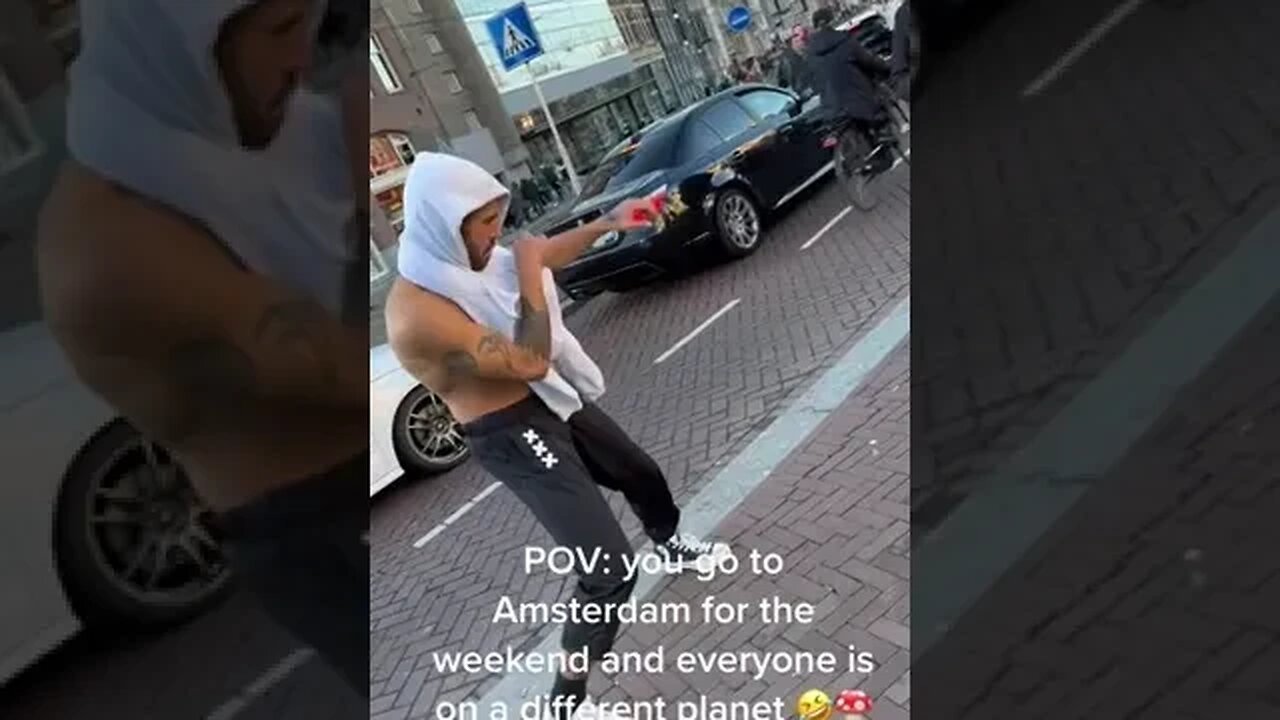 A Day In Amsterdam TikTok nikitalenihan