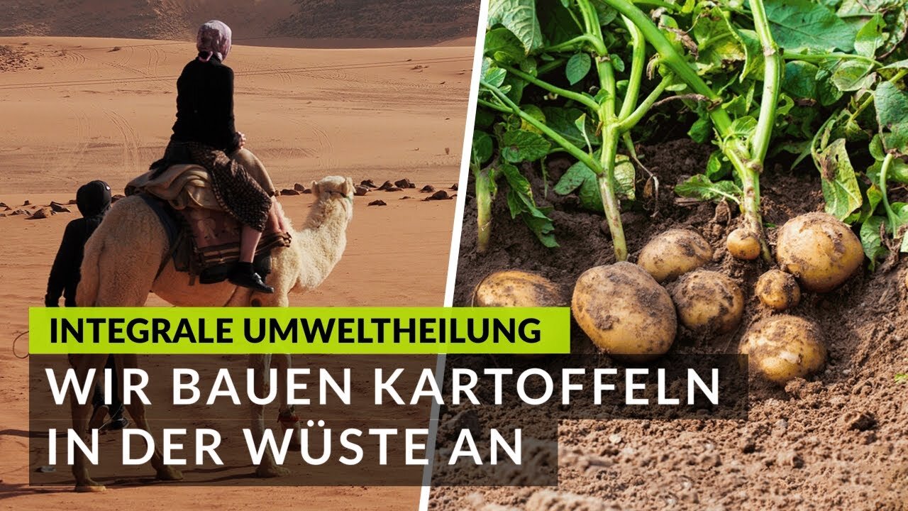 Die Wirkung der integralen Umweltheilung! Wir bauen Kartoffeln in der Wüste an! ▶️ Desert Greening