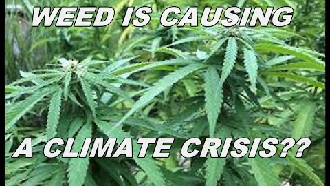 WEED is causing a climate crisis??