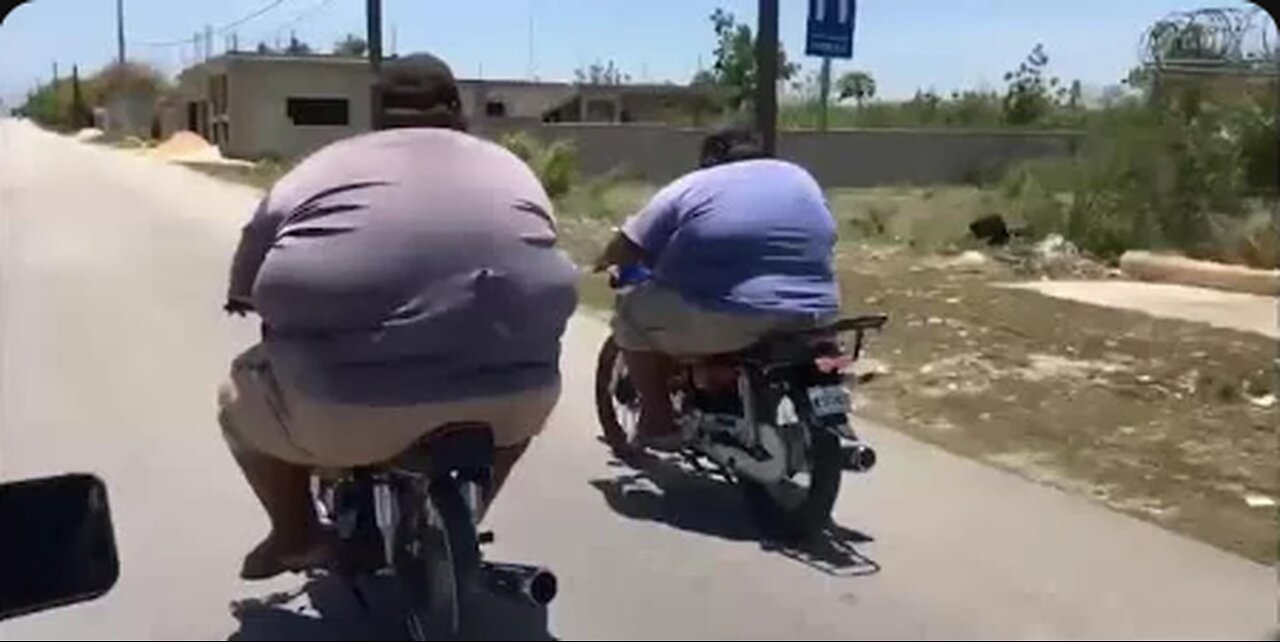 Try not to laugh challange | funny videos compilation